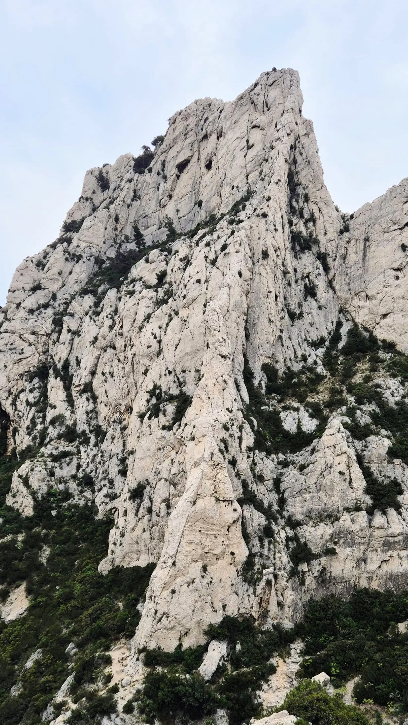 L'arête du vallon